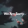 About We Are Sorry Song