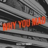 About Why You Mad Song