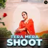 About Tere Mera Shoot Song