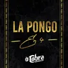 About La Pongo En 4 Song