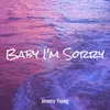 Baby I'm Sorry