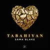 About Tabahiyan Song