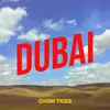 About Dubai Song