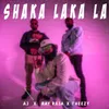 About Shaka Laka La Song