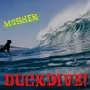 About Duckdive! Song