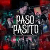 About Paso a Pasito Song
