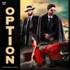 About Option Song