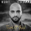 About Tears of Gold Song
