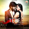 About Tere Bin Sohneya Song