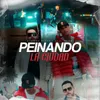 About Peinando La Ciudad Song