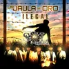 About Mi Jaula De Oro (Ilegal) Song