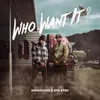 About Who Want It? Song