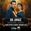 About Dil Awaiz (Original Score) Song