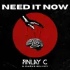 About Need It Now Song