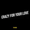 About Crazy for Your Love Song