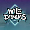 About Wild Dreams Song