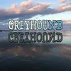 About Greyhound Song