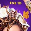 About Trip Song