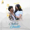 About Challani Gaalilo Song