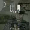 About Lo Bonito De La Vida Song