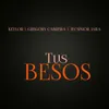 About Tus Besos Song