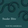 About Snake Bite Song