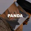 About Panda Song