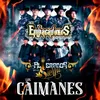 About Los Caimanes Song