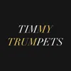About Timmy Trumpets Song