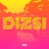 About Dizsi Song