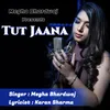 About Tut Jaana Song