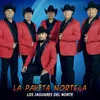 About La Pavita Norteña Song