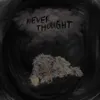 About Never Thought Song