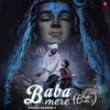 About Baba Mere(Bhole Baba 2) Song