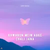 About Khwabon Mein Aake Chali Jana Song