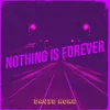 About Nothing Is Forever Song