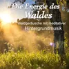 Die Energie Des Waldes