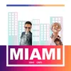 About Miami Song