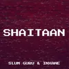 About Shaitaan Song
