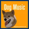 About Dog Song Song