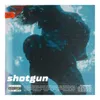 Shotgun