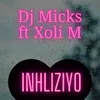 About Inhliziyo Song