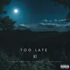 About Too Late Song