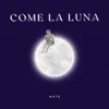 About Come La Luna Song