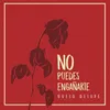 About No Puedes Engañarte Song