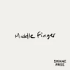 About Middle Finger Song