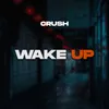 About Wake Up Song