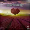 About Sentiment Song