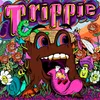 About Trippie Song