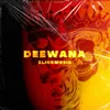 About Deewana Song